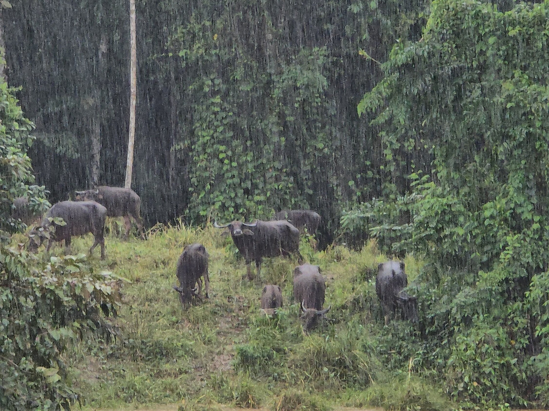 Kithulgala Rest House主图