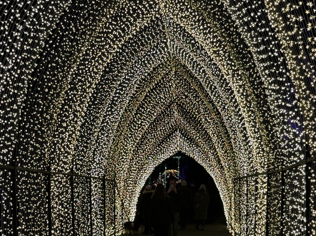 Bedgebury National Pinetum And Forest-Goudhurst必去景点