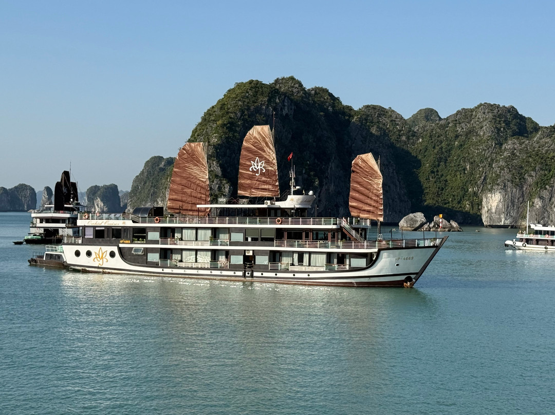 Orchid Cruises-下龙湾必去景点