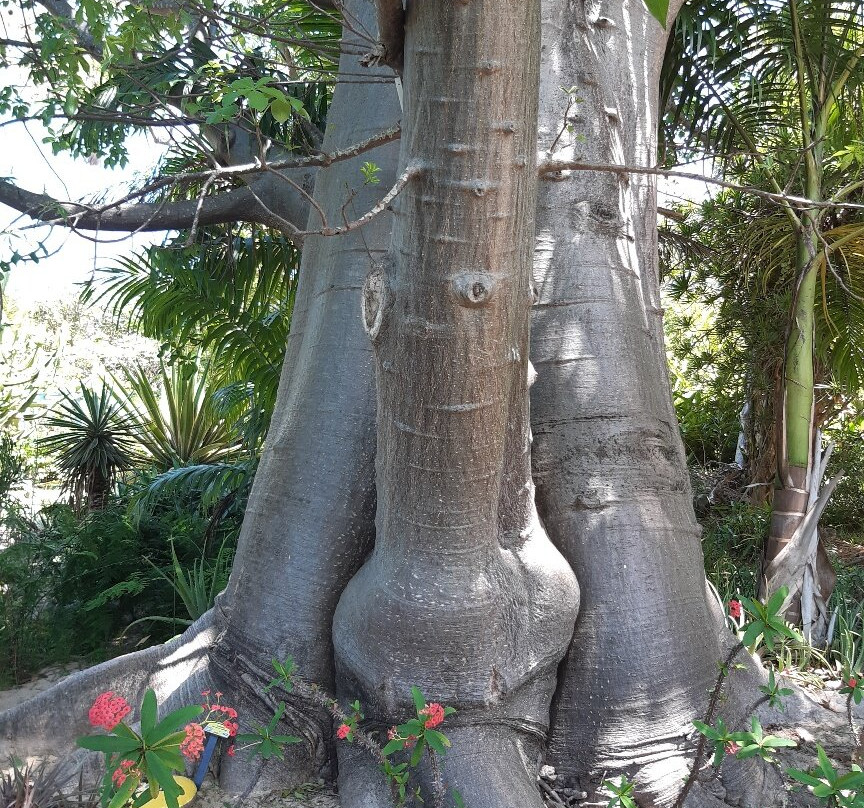 Jardin d'Eden-圣吉尔莱班必去景点