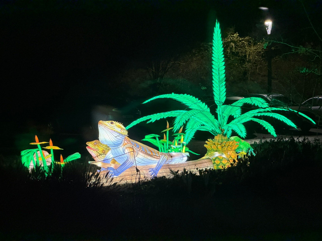 Beekse Bergen Safari Park-希尔法伦贝克必去景点