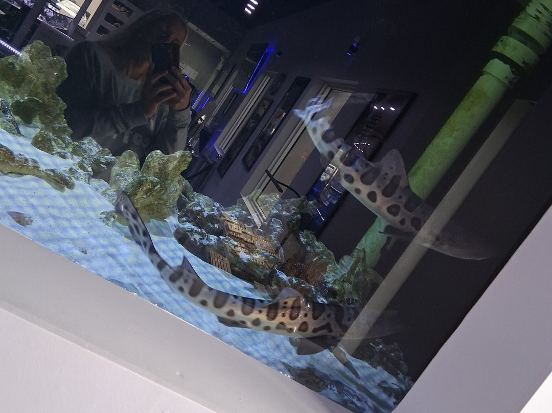 Boca Aquarium-博卡拉顿必去景点