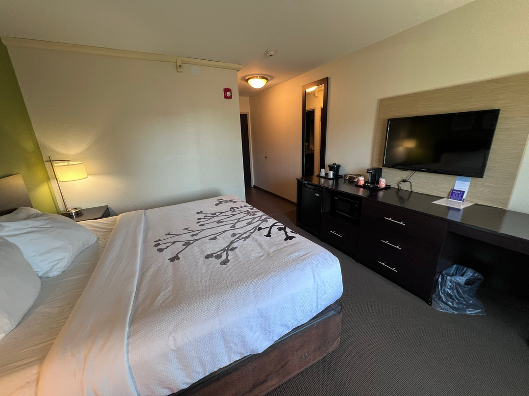 Sleep Inn & Suites Belmont / St. Clairsville主图