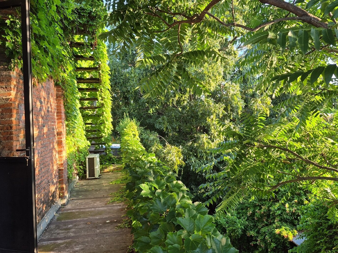 La Usina Vieja主图