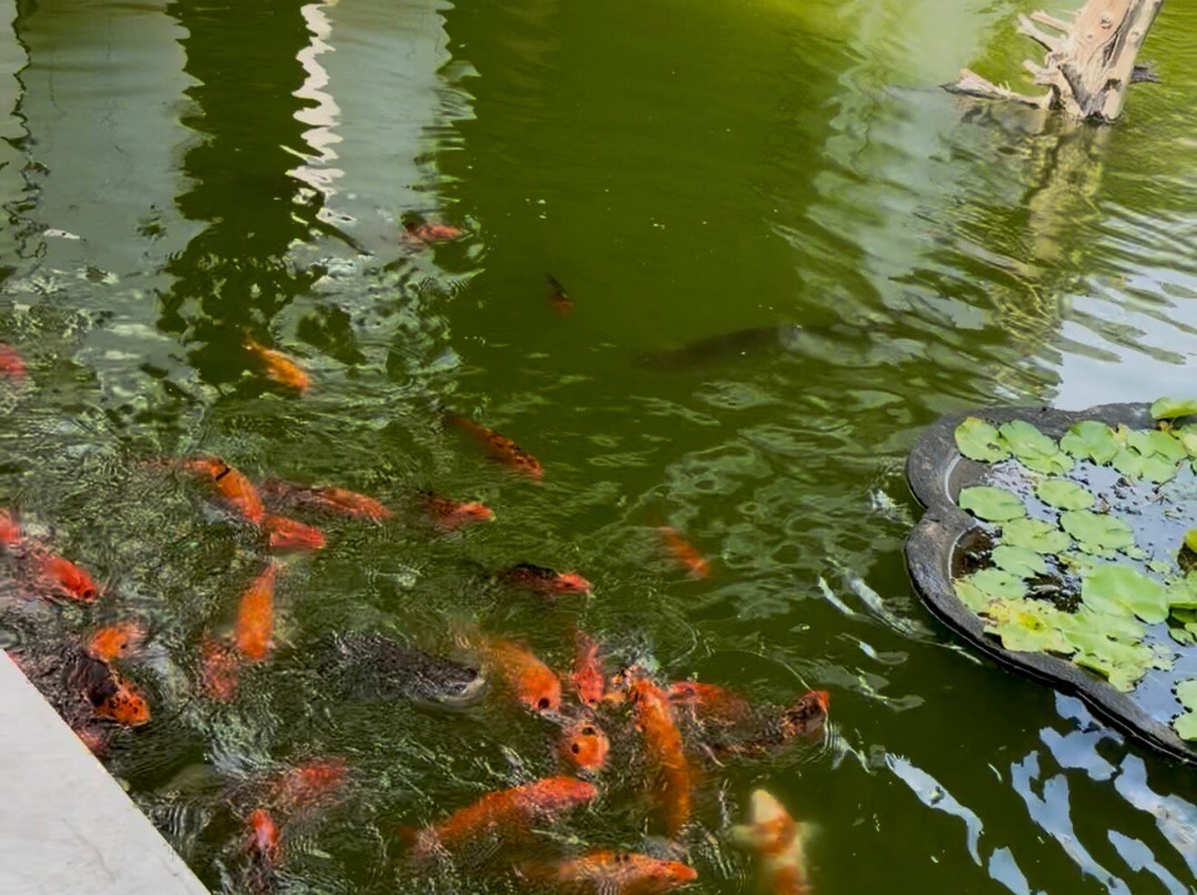 泰贝卡威安塔酒店主图