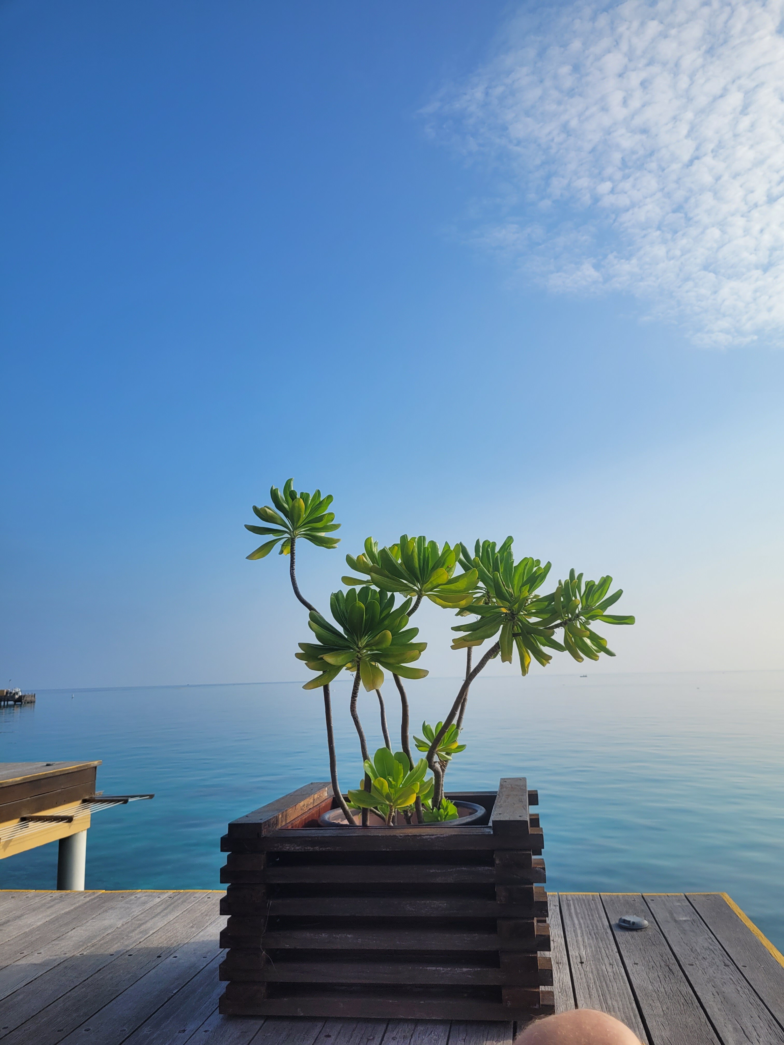 马尔代夫微拉瓦鲁悦椿度假村-浴室