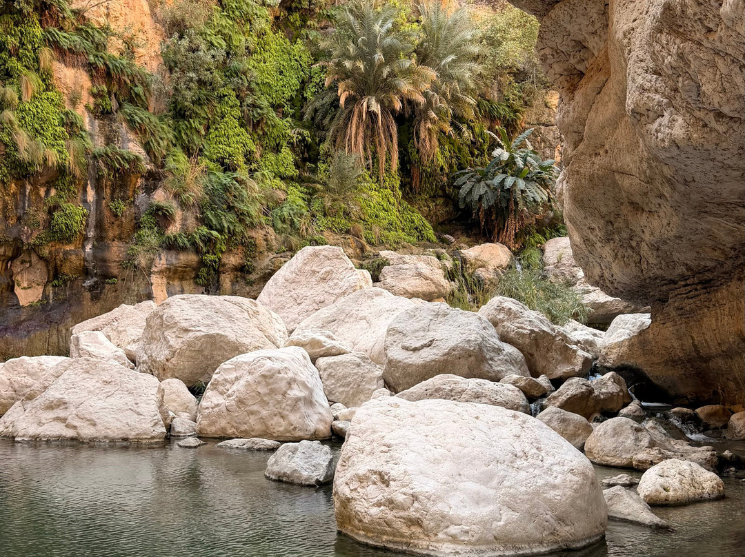 Wadi Tiwi Mibam Adventure-提维必去景点