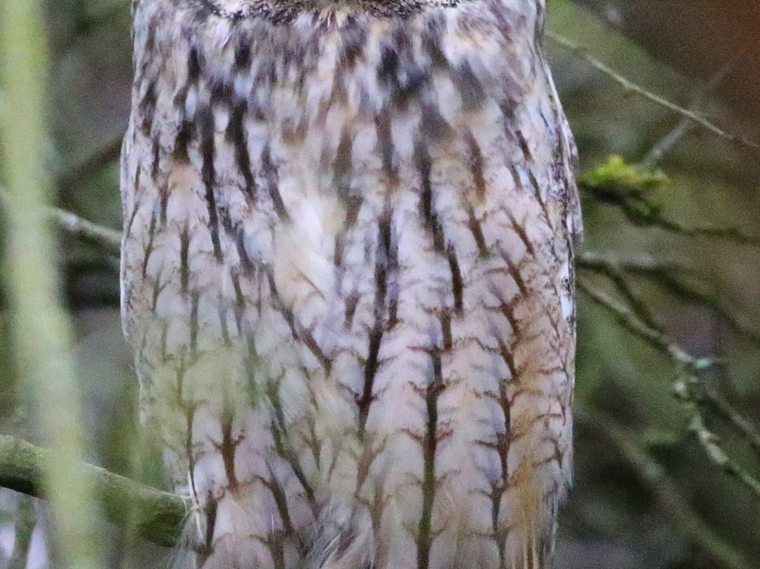 Haw Park Wood-韦克菲尔德必去景点
