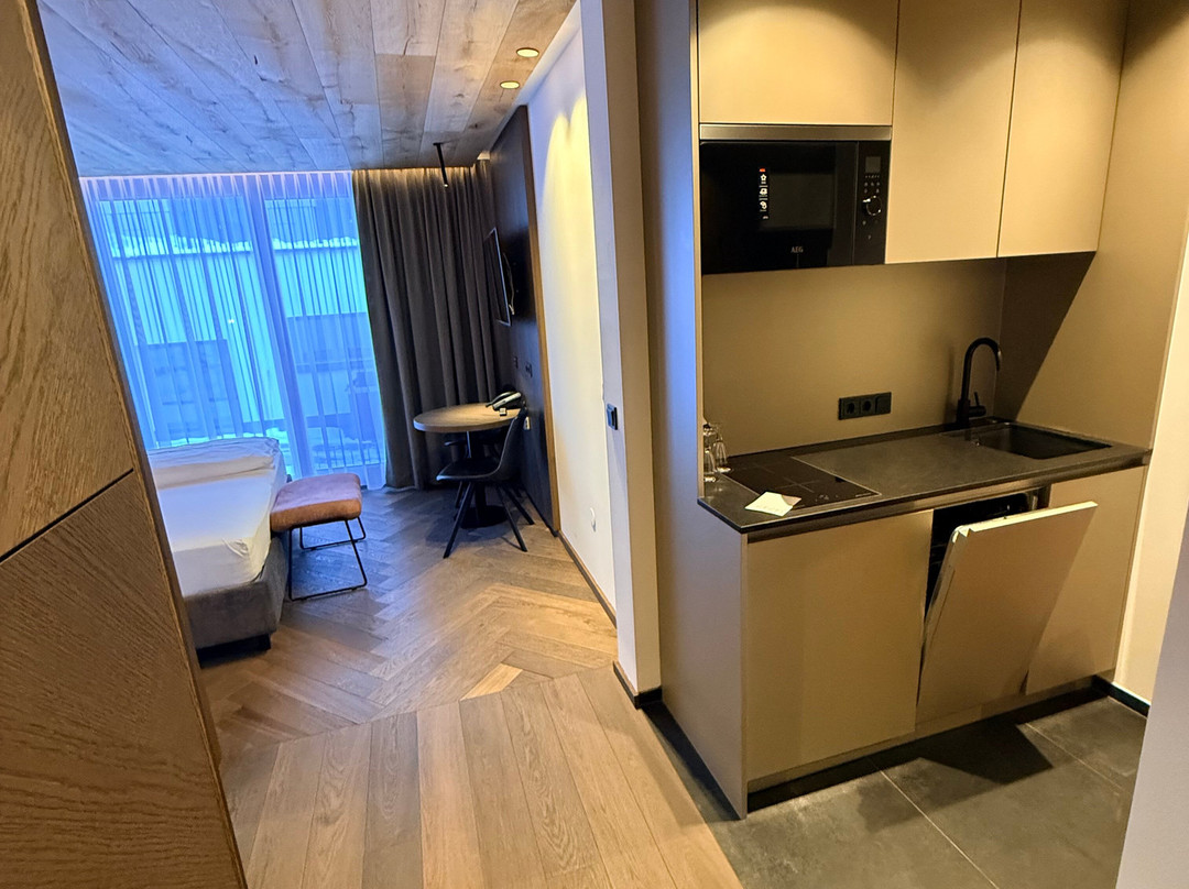 阿尔皮纳酒店主图