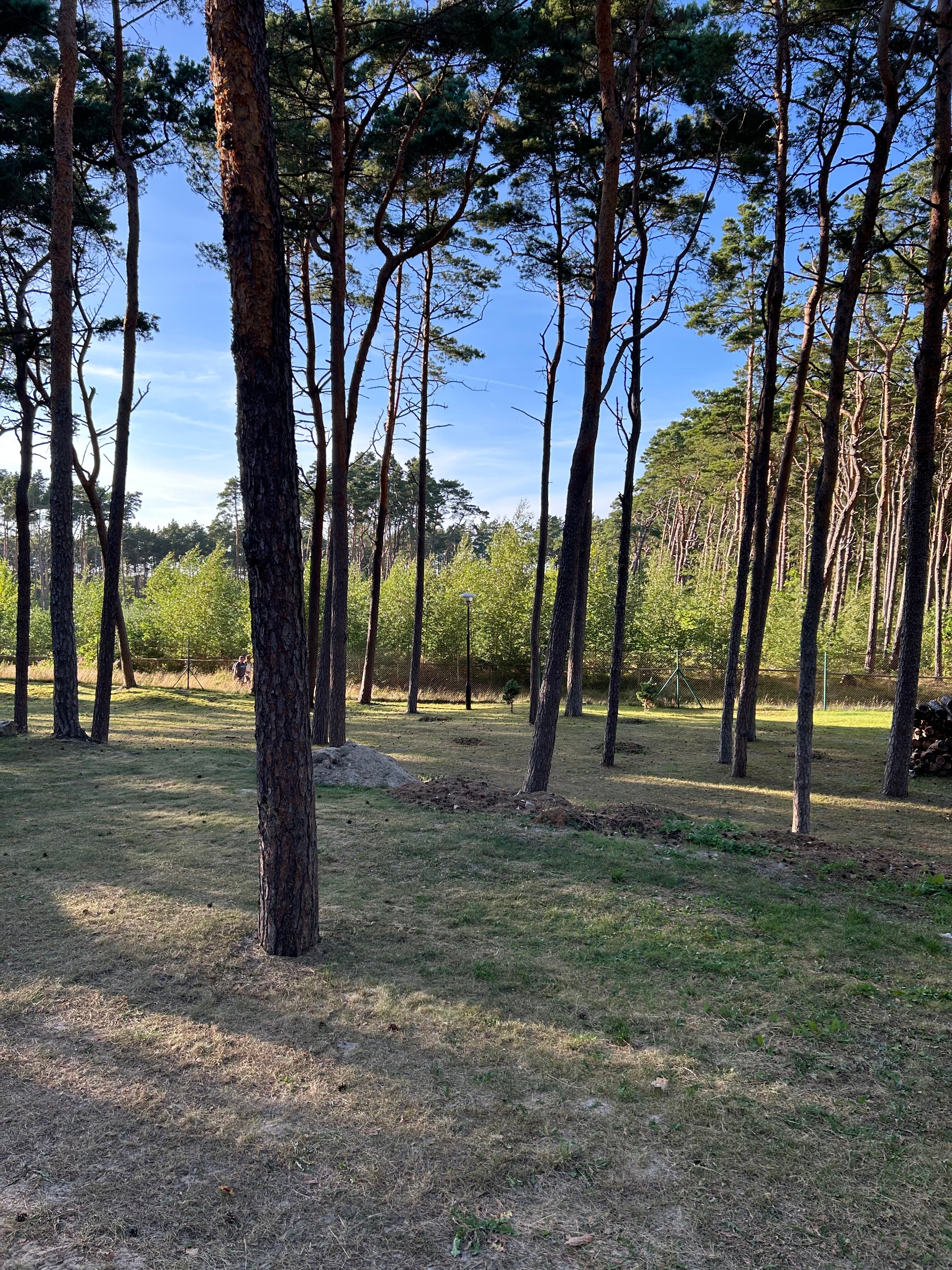 Marena Wellness & Spa-浴室