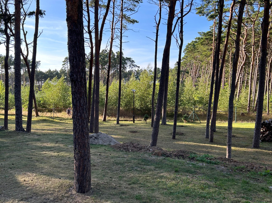 Marena Wellness & Spa主图