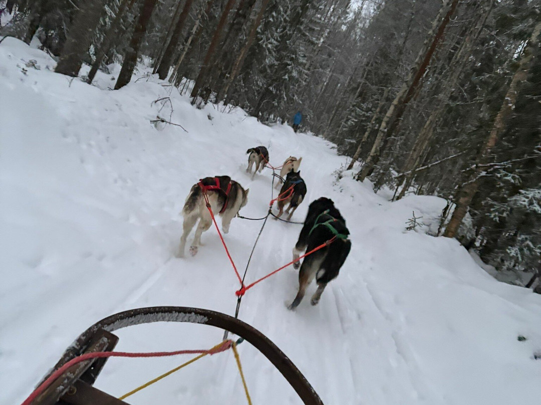 Huskypoint-罗瓦涅米必去景点