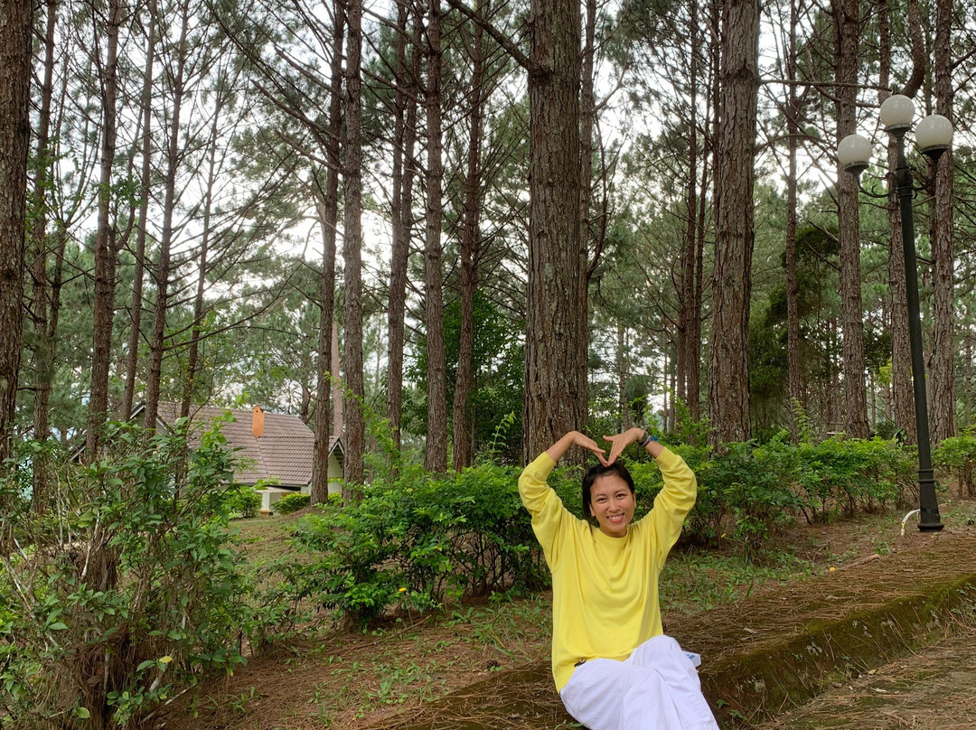 Sivananda Yoga Resort And Training Center-大勒必去景点