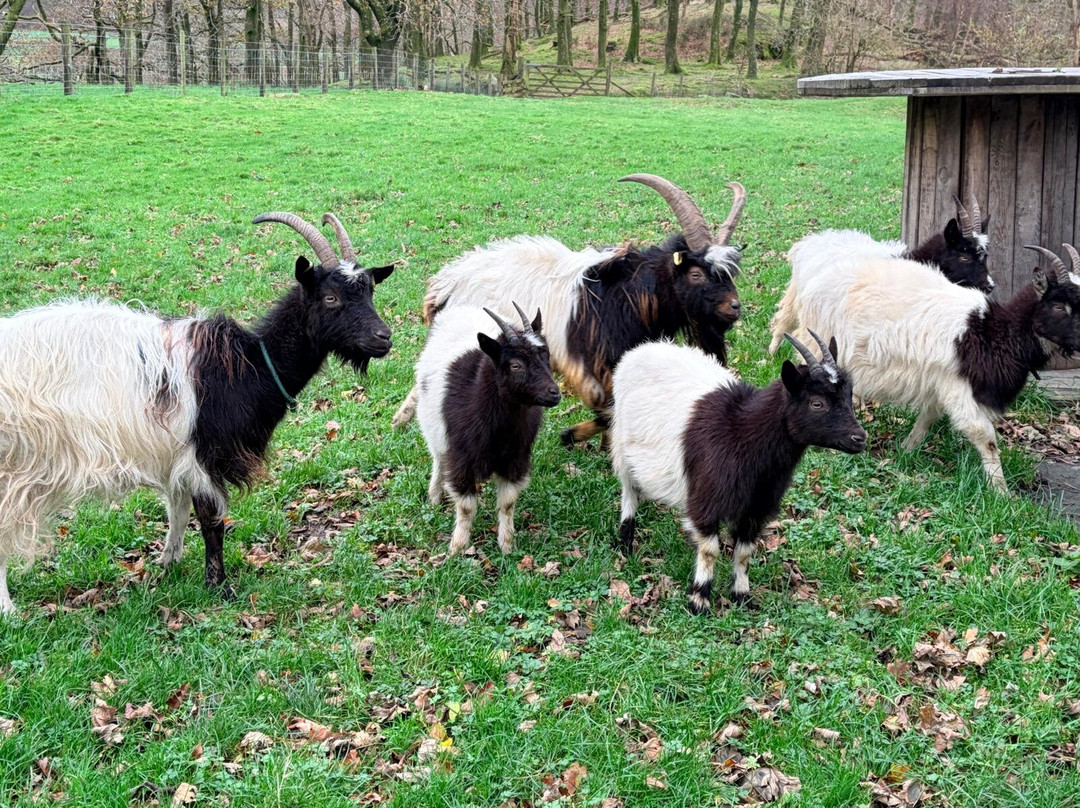 Cragg House Farm-Buttermere必去景点