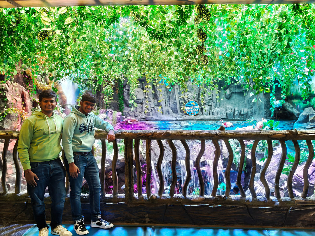 Aquarium Paradise-班加罗尔必去景点