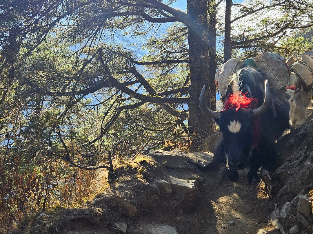 Naturestride Mountain Adventure-加德满都必去景点