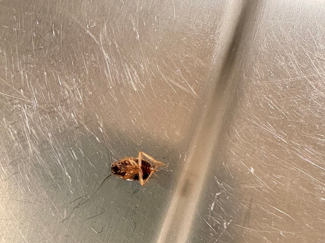 Extended Stay America Select Suites - Kalamazoo - West主图