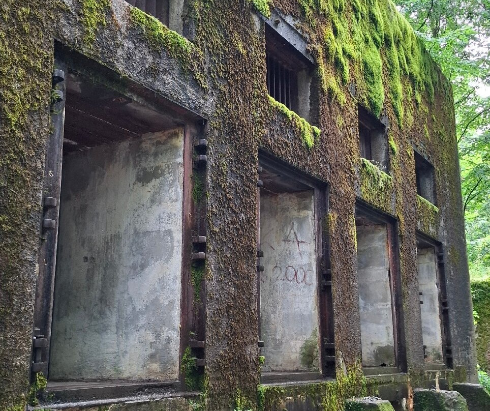 Mamerki City of Brigid-Wegorzewo必去景点