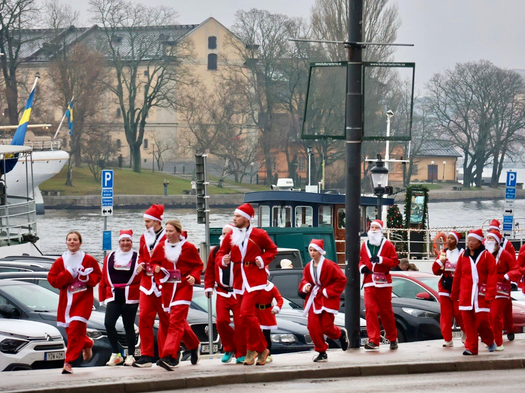 Stoccolma con Mary - visite guidate-斯德哥尔摩必去景点