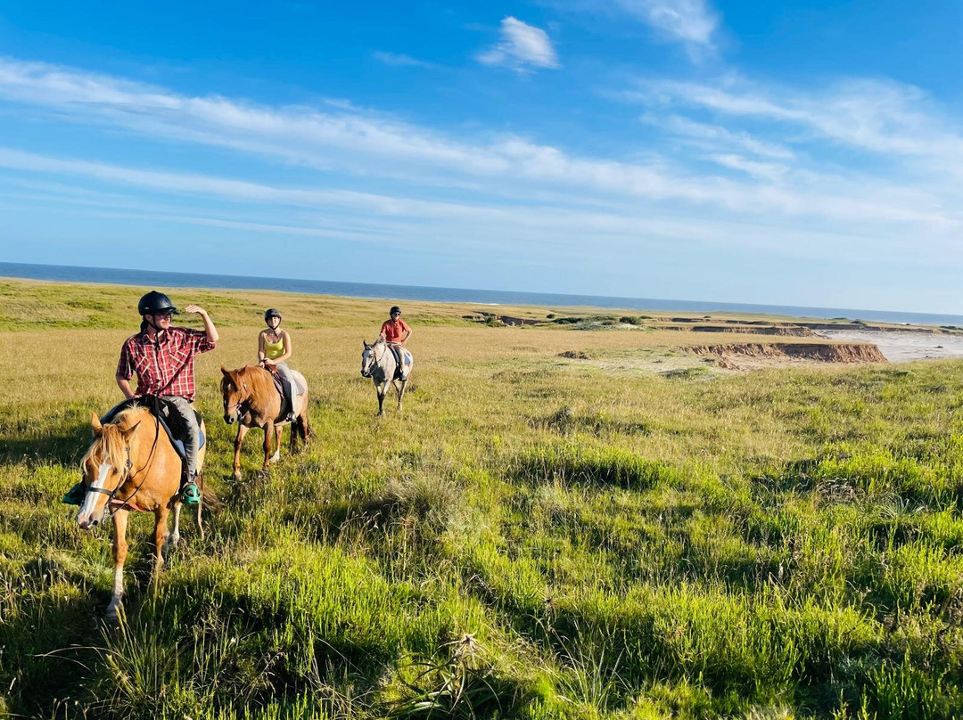 Eco Equus Cabalgatas-La Pedrera必去景点