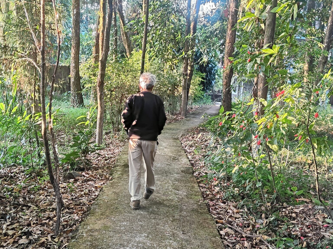 Samsing-大吉岭必去景点