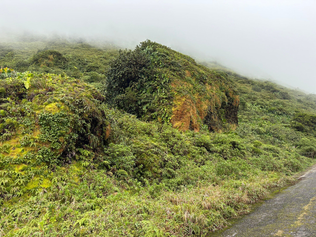 Vert Intense-Saint-Claude必去景点