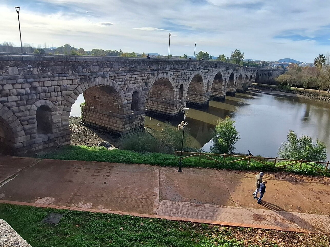 Hotel Apartamentos MPD主图