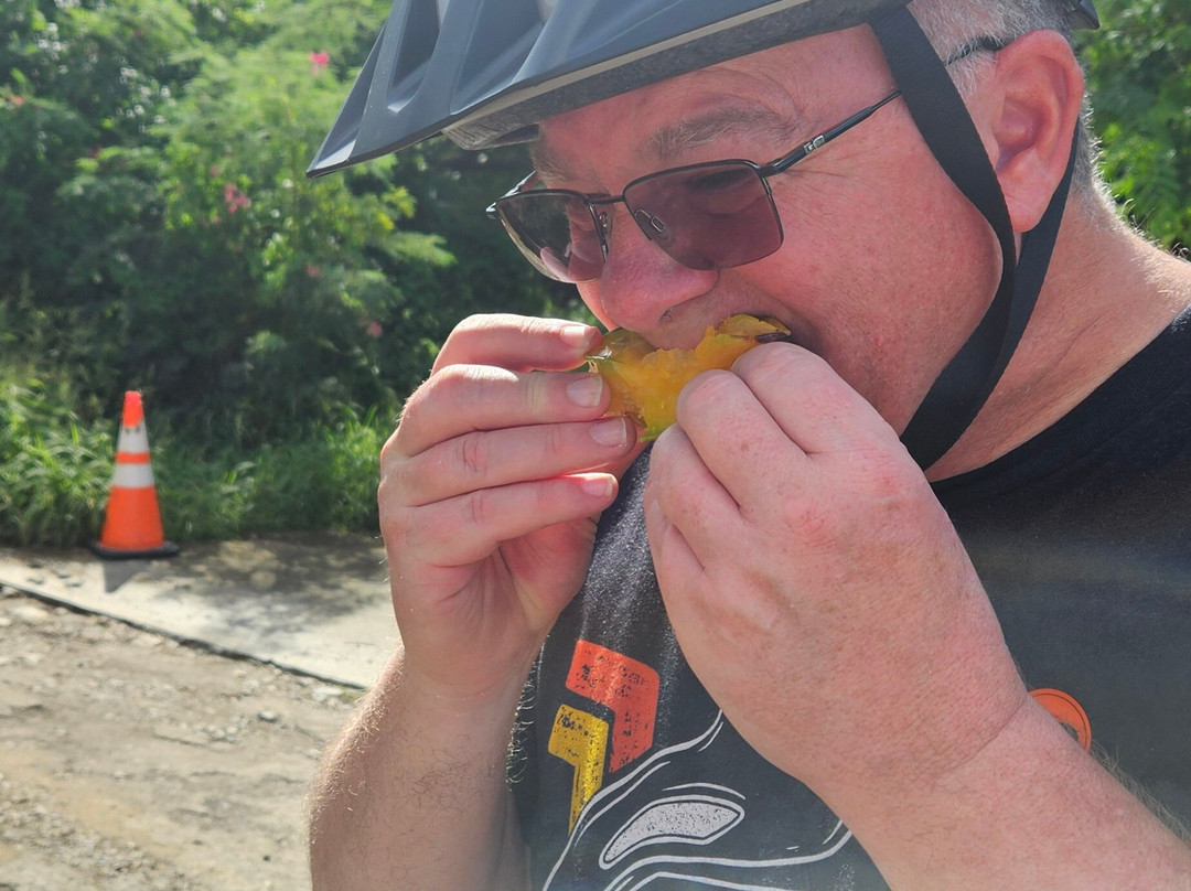 Island Life Adventures-Frederiksted必去景点