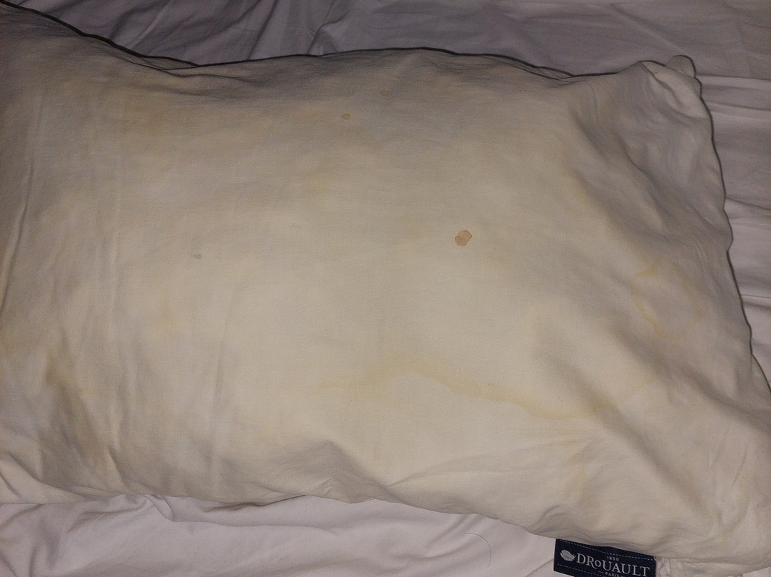 贝尔福B&B酒店主图