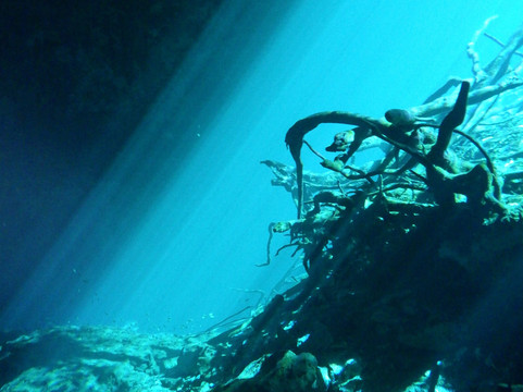 Flying Fish Tulum-图伦必去景点