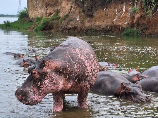 Rwanda Eco Tours-吉佳利必去景点