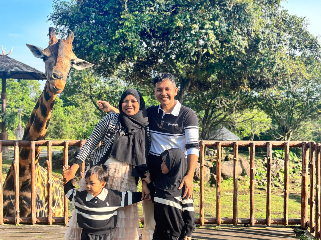 Baobab Safari Resort主图