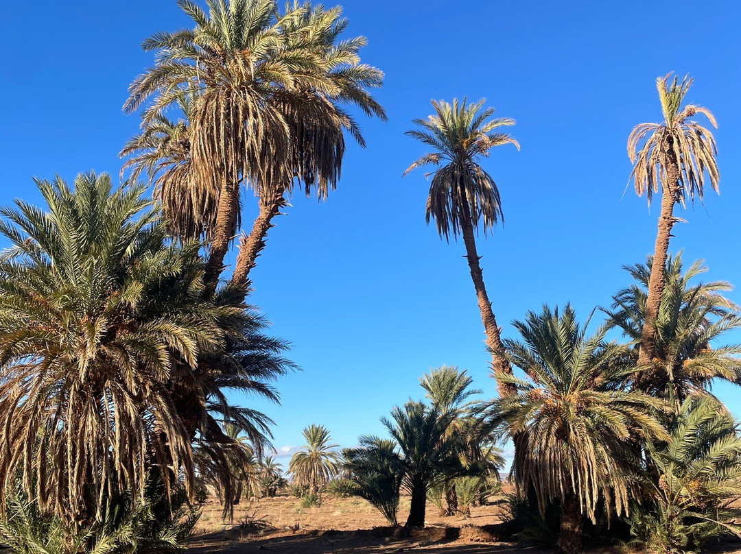 Dar Sidi Bounou主图