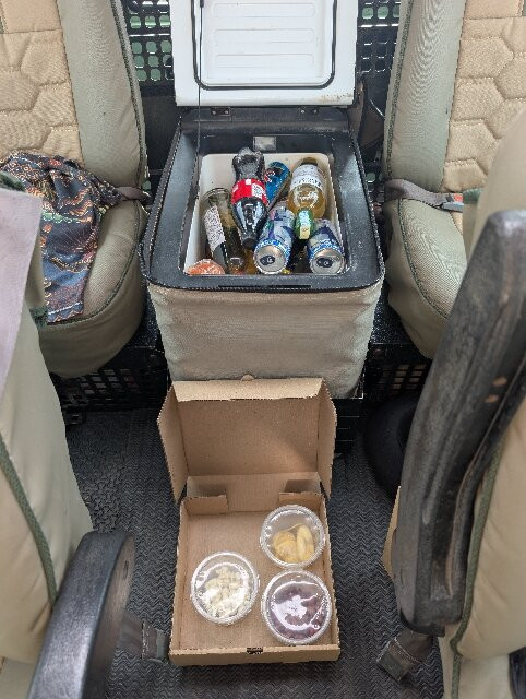 Dolphin Tours & Safaris Ltd-姆万扎必去景点