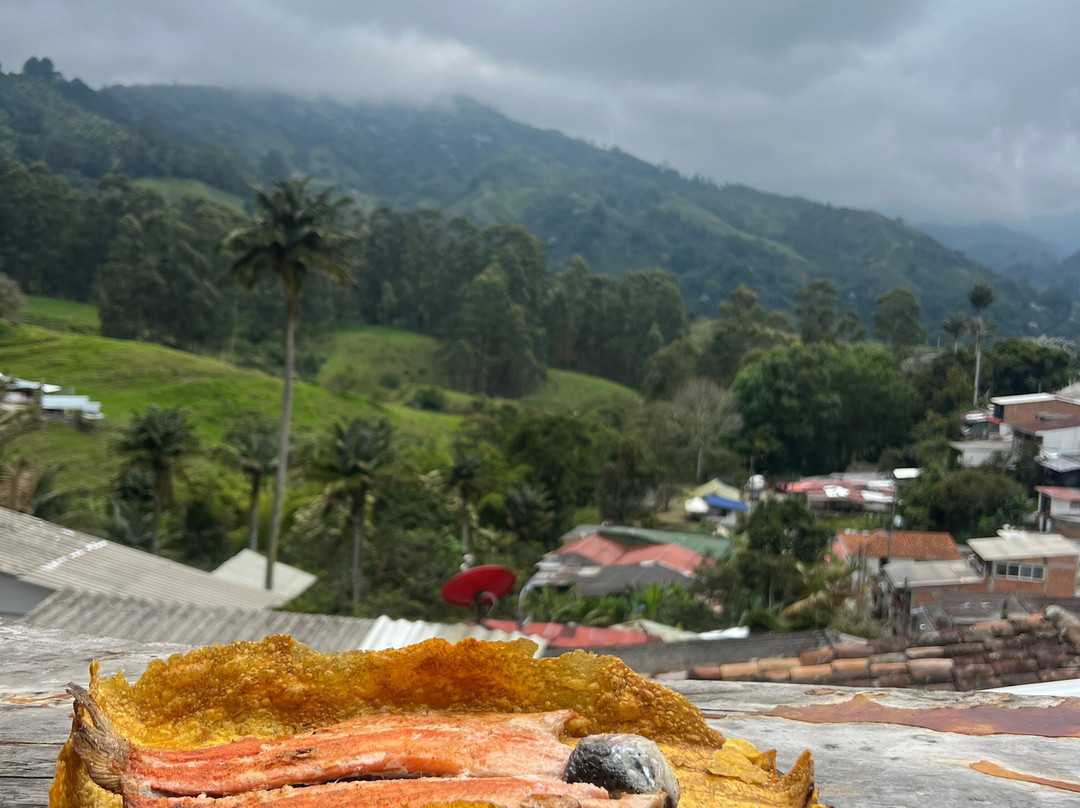 Rutas Cafeteras Tours-Circasia必去景点