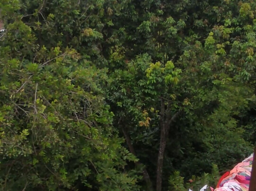 Mirante das Fitas-Arraial d'Ajuda必去景点