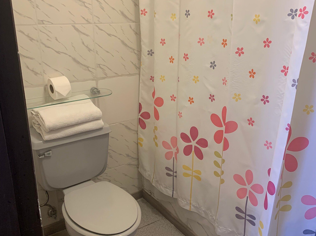 Aparthotel Y Cabañas Vegasur主图