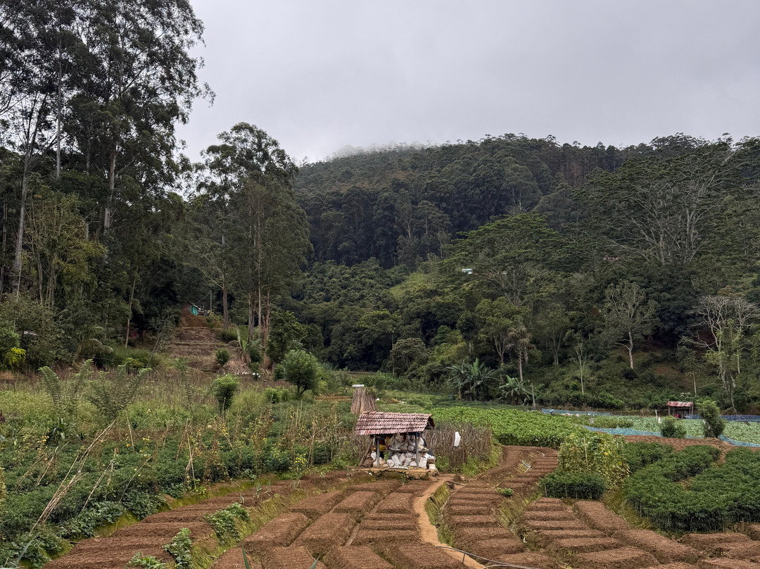 Ella Tours With Gayan Sri Lanka-Hanguranketa必去景点