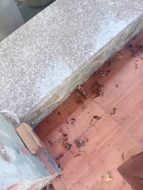 最佳西方岛景度假村-官方