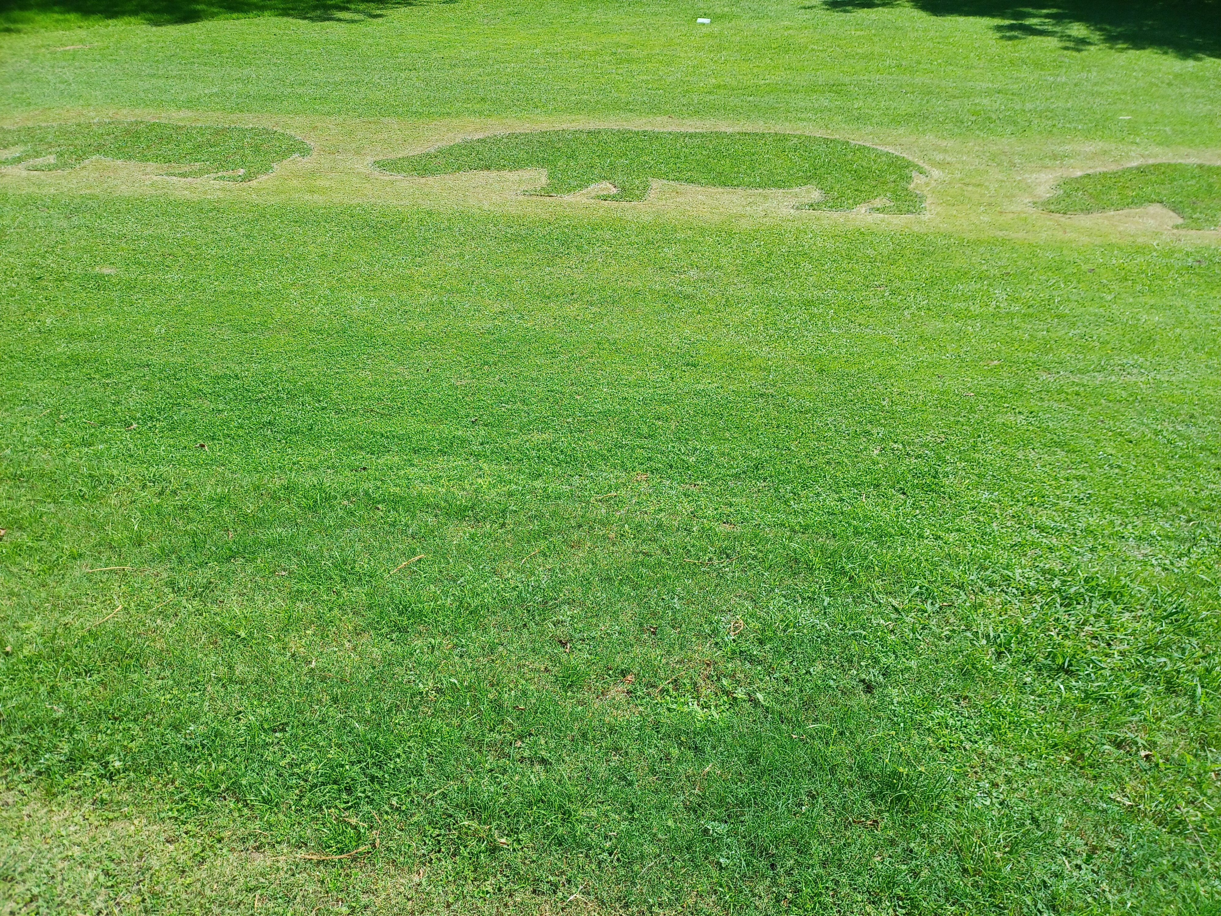 Sabi River Sun Resort-官方