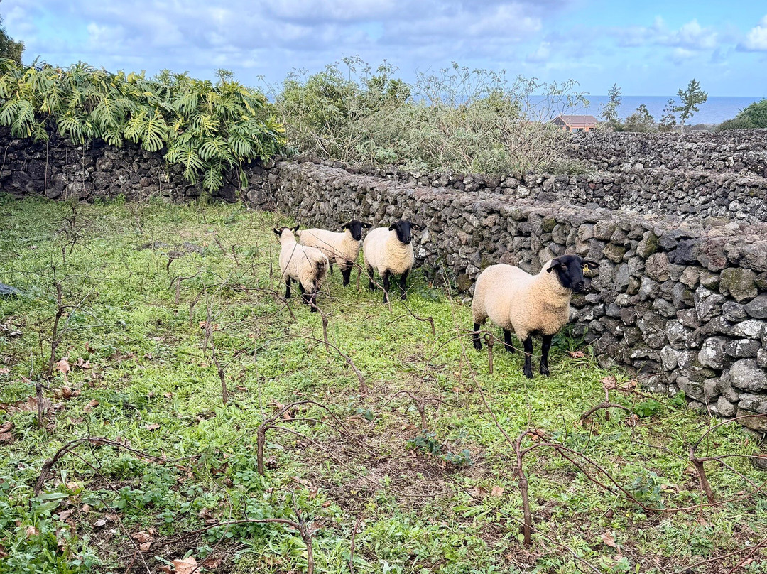 Materramenta - Experiências-Biscoitos必去景点