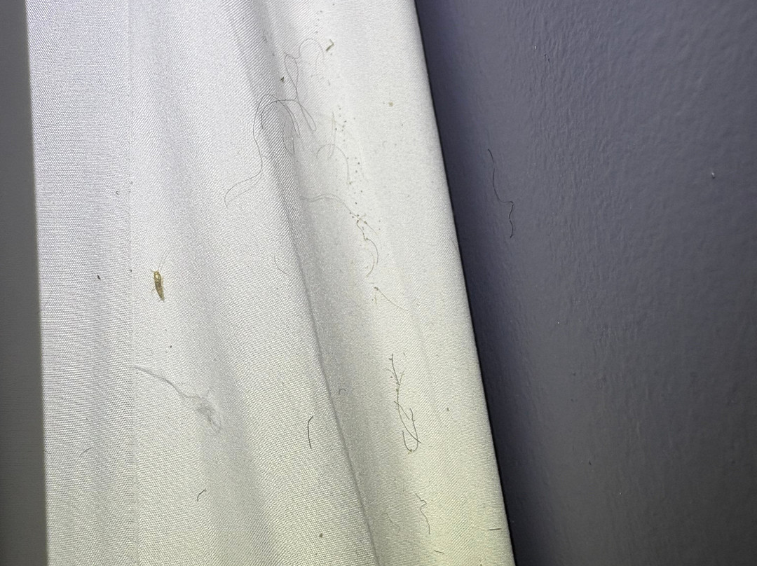 Residence Inn by Marriott Augusta主图