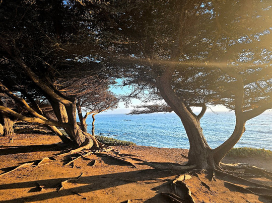 Leffingwell Landing-坎布里亚必去景点