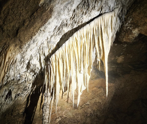 Marakoopa Cave-茉莉溪必去景点