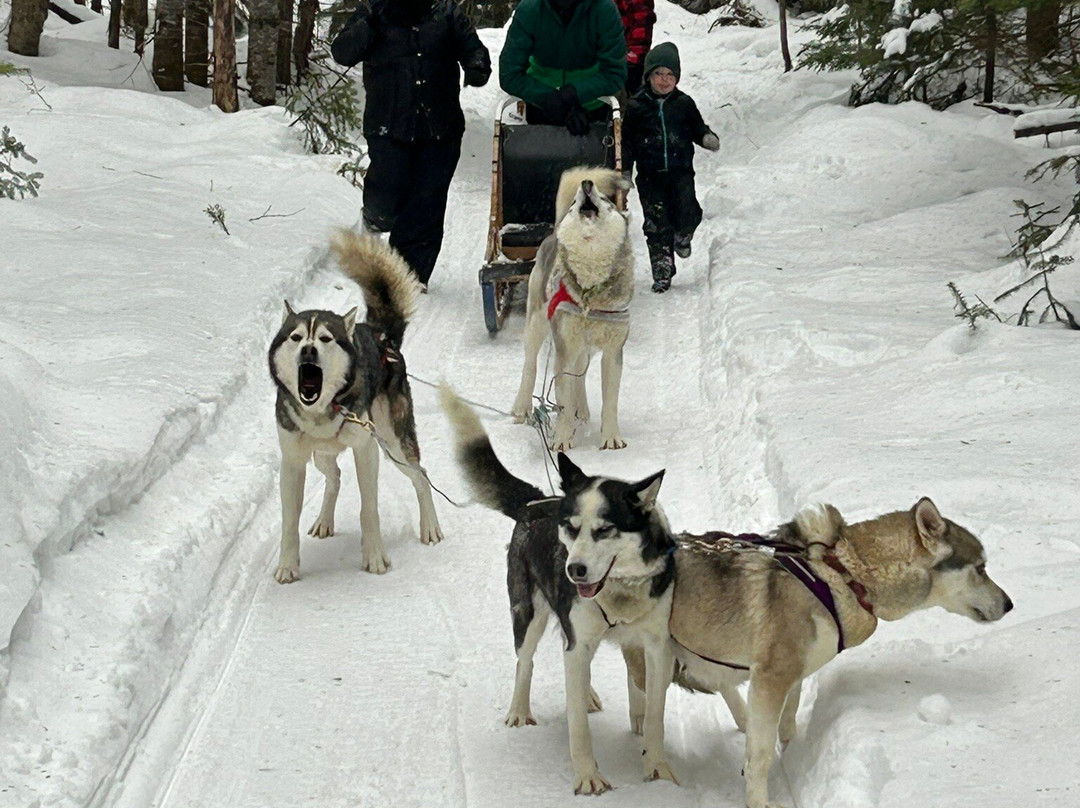 Aventures Nord-Bec-Stoneham-et-Tewkesbury必去景点