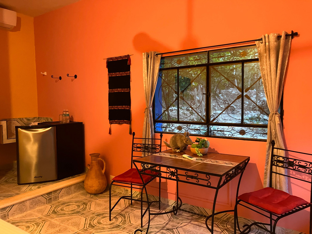 Coyote Mistico Bed & Breakfast主图