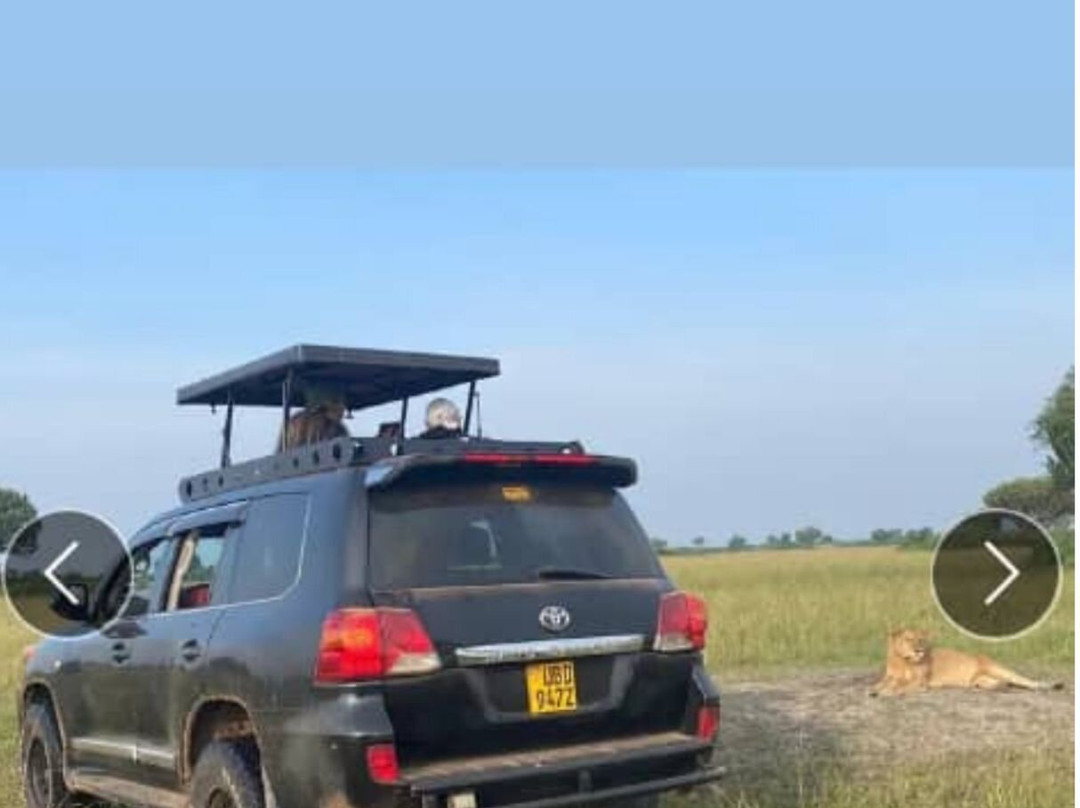 Big Lion Trails Safaris-坎帕拉必去景点