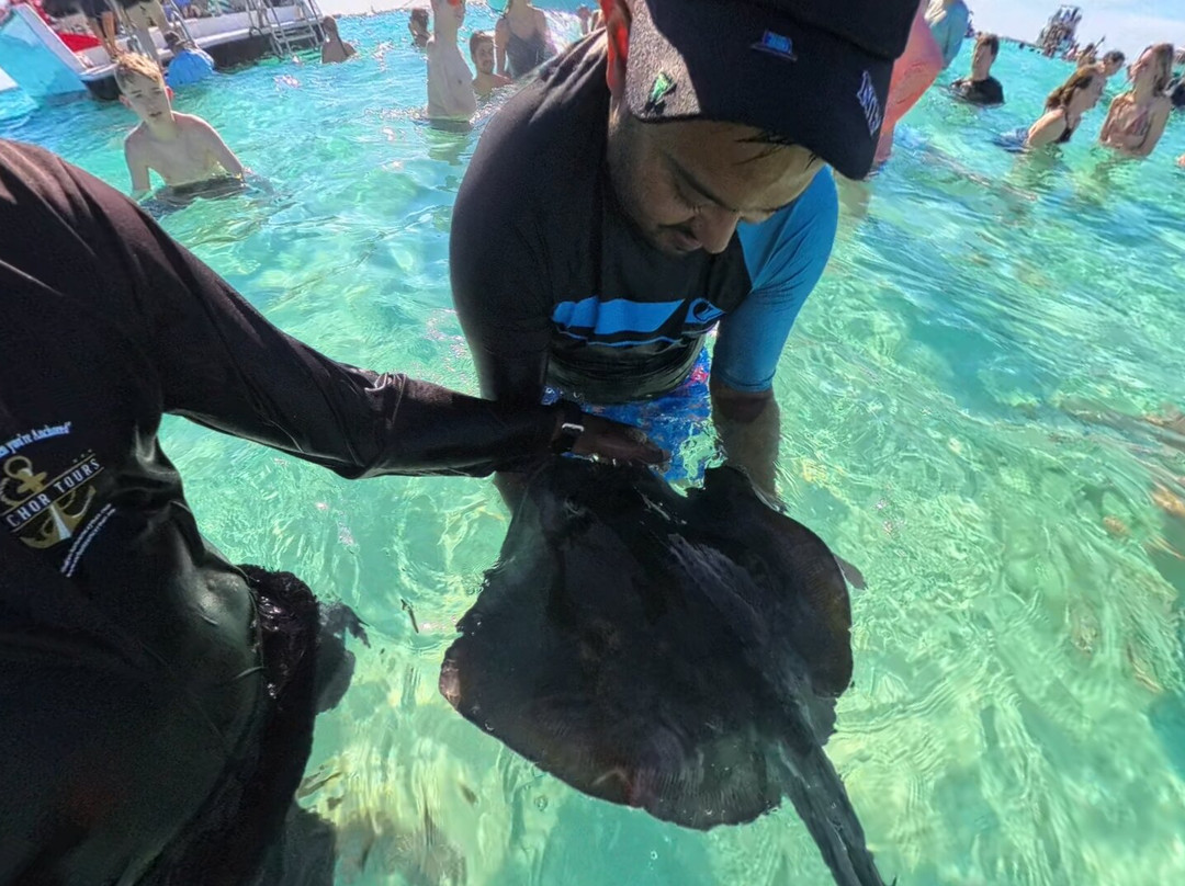 Anchor Tours-西湾必去景点