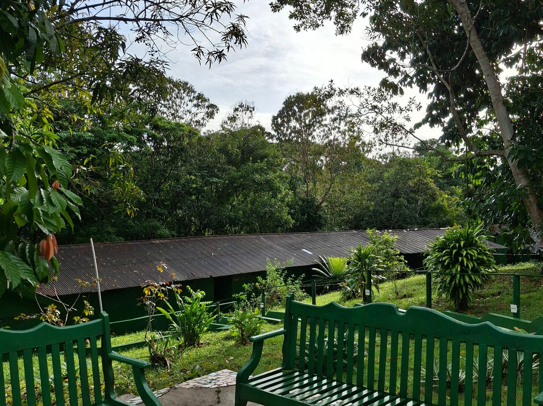 Amazonia Jungle Hotel主图