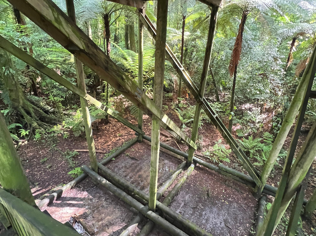 Yarndley's Bush-Te Awamutu必去景点